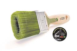 color-expert-woodstar-2017.jpg